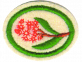 Thumbnail for version as of 23:32, 26 July 2012