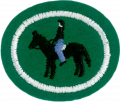 Horsemanship AY Honor.png