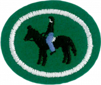 Horsemanship AY Honor.png