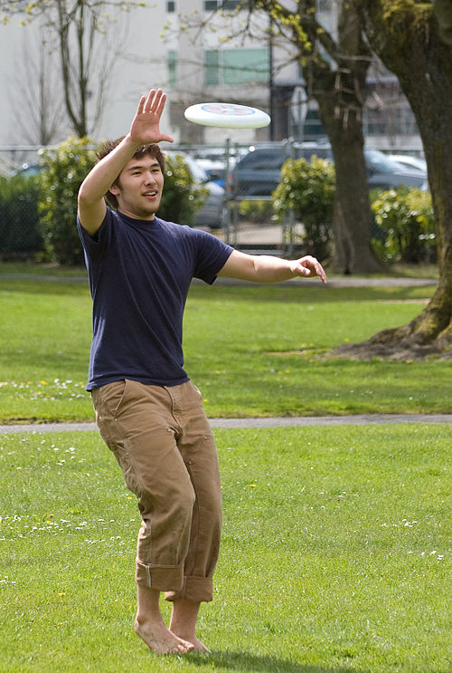File:Frisbee Catch- Fcb981.jpg