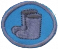 Wool Feltcraft AY Honor.png