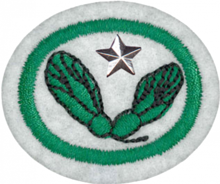 File:Seeds Advanced AY Honor.png