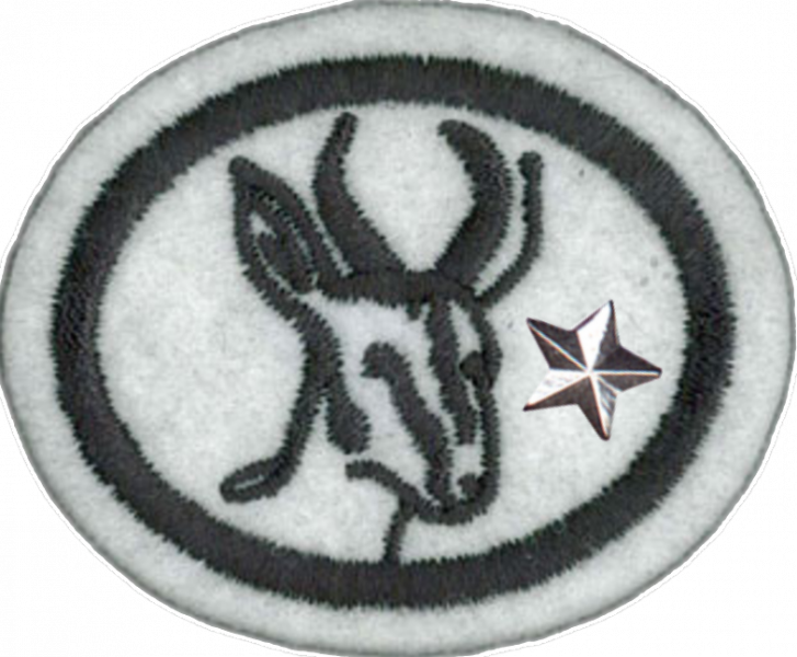 File:Antelopes Advanced AY Honor.png