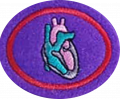Heart and Circulation (SAD) AY Honor.png