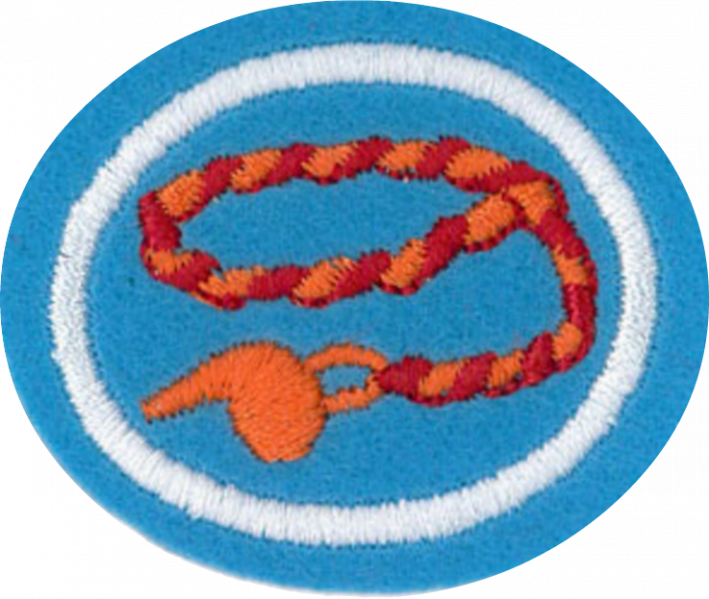 File:Braiding AY Honor.png