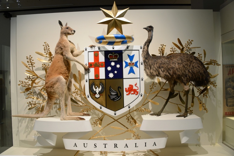 File:AustraliaSeal 8075 W.jpg