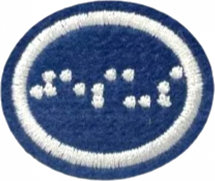 File:Braille (SAD) AY Honor.png