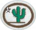 Cacti Advanced AY Honor.png