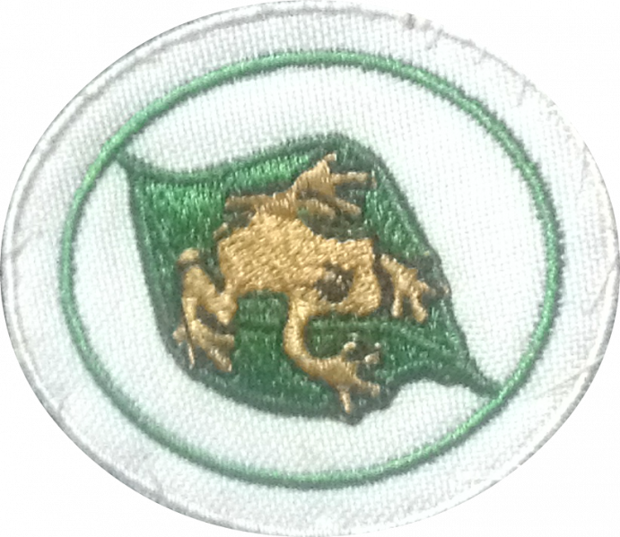 File:Coquí AY Honor.png