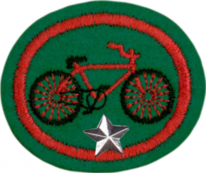 File:Cycling Advanced AY Honor.png
