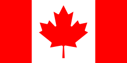 Maple leaf depicted on the Flag of Canada