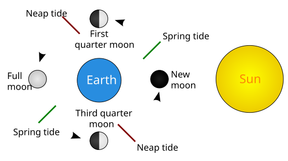 Tide schematic.svg