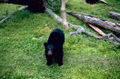 Thumbnail for version as of 12:25, 9 August 2005
