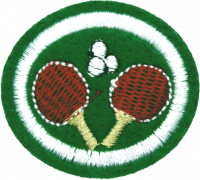 Table Tennis AY Honor.png