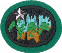 Caving Advanced AY Honor.png