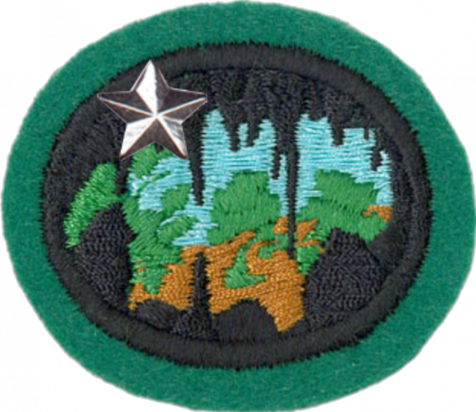 File:Caving Advanced AY Honor.png