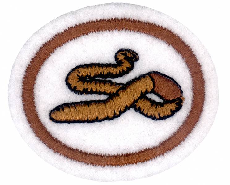 File:Worms AY Honor.png