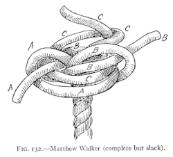 Matthew Walker knot-slack.gif