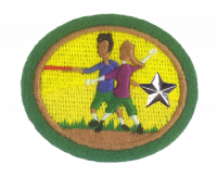 Ultimate Disc Advanced AY Honor.png