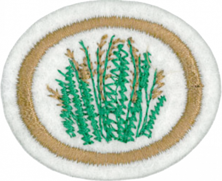 File:Grasses AY Honor.png