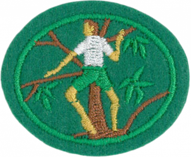 File:Tree Climbing AY Honor.png