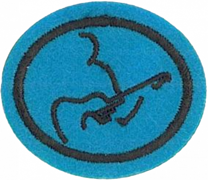 File:Guitar AY Honor.png