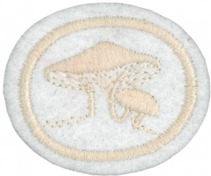 File:Fungi AY Honor.png