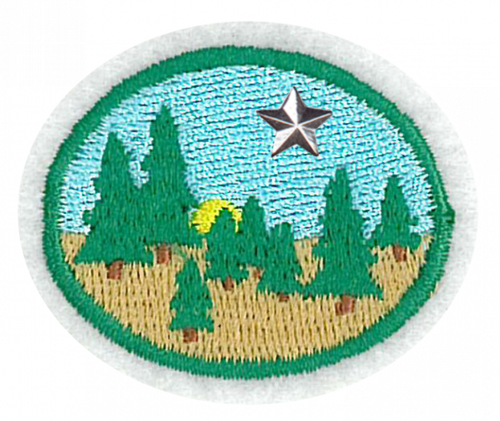 File:Taiga Advanced AY Honor.png